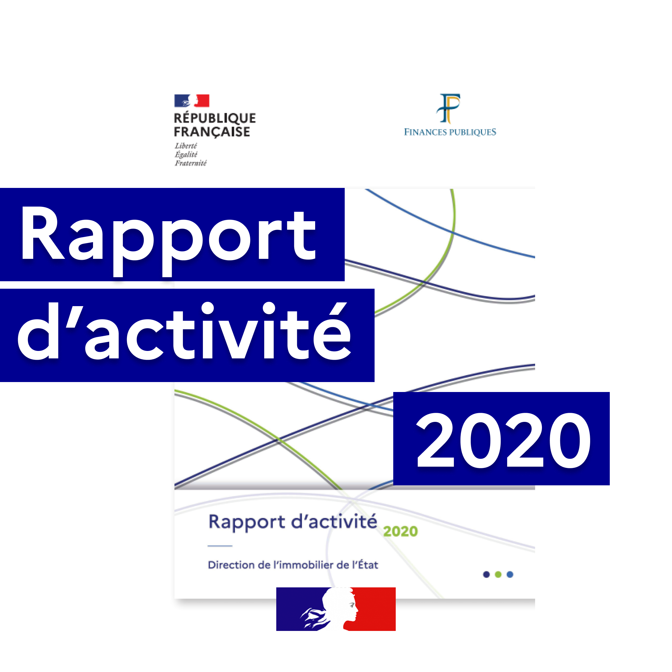 Rapport activité 2020 DIE